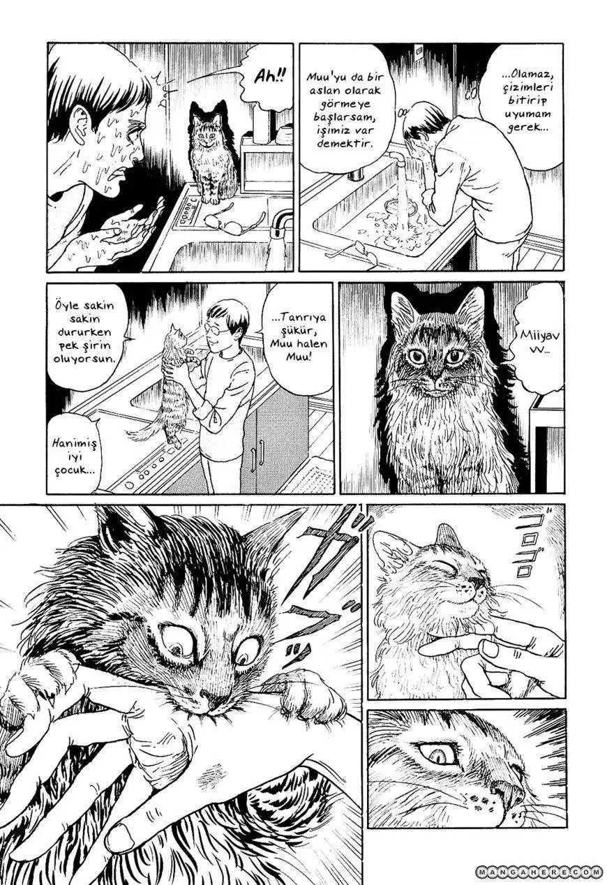 Ito Junji's Cat Diary Chapter 5 7